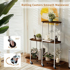 Plant Stand with Wheels Indoor Outdoor Flower Rack Display