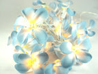 1 Set of 20 LED Tropical Blue Frangipani Flower Battery 3m String Lights Christmas Gift Home Wedding Beach Party Decoration Outdoor Table Centrepiece