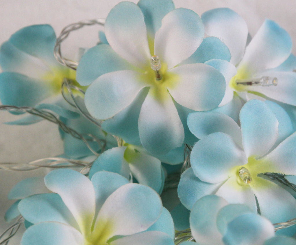 1 Set of 50 LED Tropical Blue Frangipani Flower Battery 5m LONG String Lights Christmas Gift Home Wedding Beach Party Decoration Outdoor Table Centrepiece