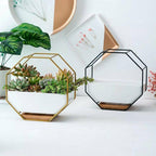 Wall Hanging Succulent Planter Pot Indoor Outdoor Flower Plant Vase Garden Decor - Gold