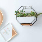 Wall Hanging Succulent Planter Pot Indoor Outdoor Flower Plant Vase Garden Decor - Gold