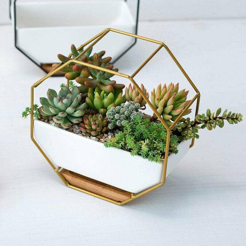 Wall Hanging Succulent Planter Pot Indoor Outdoor Flower Plant Vase Garden Decor - Gold