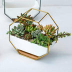 Wall Hanging Succulent Planter Pot Indoor Outdoor Flower Plant Vase Garden Decor - Gold
