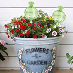 2PCS Automatic Glass Watering Cactus Plant Flower Self Drip Irrigation Tool - Green