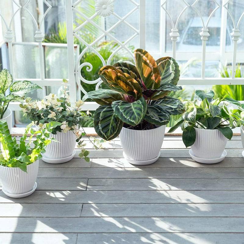 6PCS Simple Plastic Round Plant Pots Vertical Stripes Flower Pot Green Gardening - White