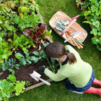 Stainless Steel Scale Spade Gardening Shovel Small Gardens Succulents Plant Tool