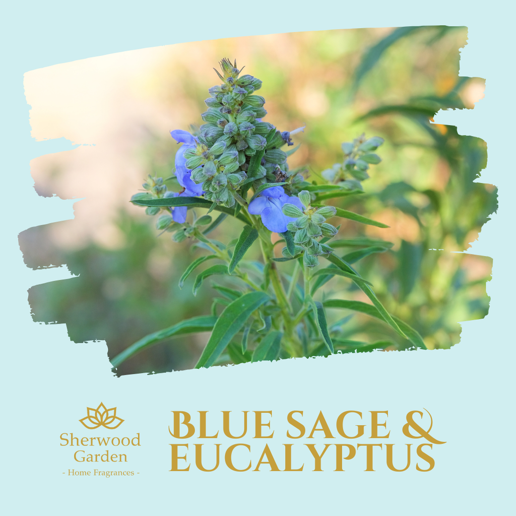 Blue Sage & Eucalyptus 100% Natural Fragrance Soy Candle Tin 165g