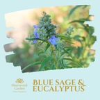 Blue Sage & Eucalyptus 100% Natural Fragrance Soy Candle Tin 165g