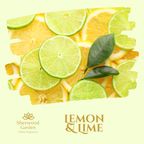 Lemon & Lime 100% Natural Fragrance Soy Candle Tin 165g