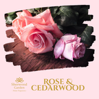 Rose & Cedarwood 100% Natural Fragrance Soy Candle Tin 165g